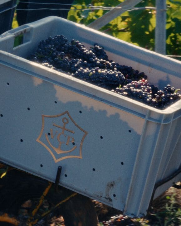 Image without a name