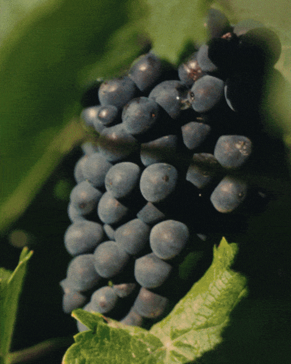 Image without a name