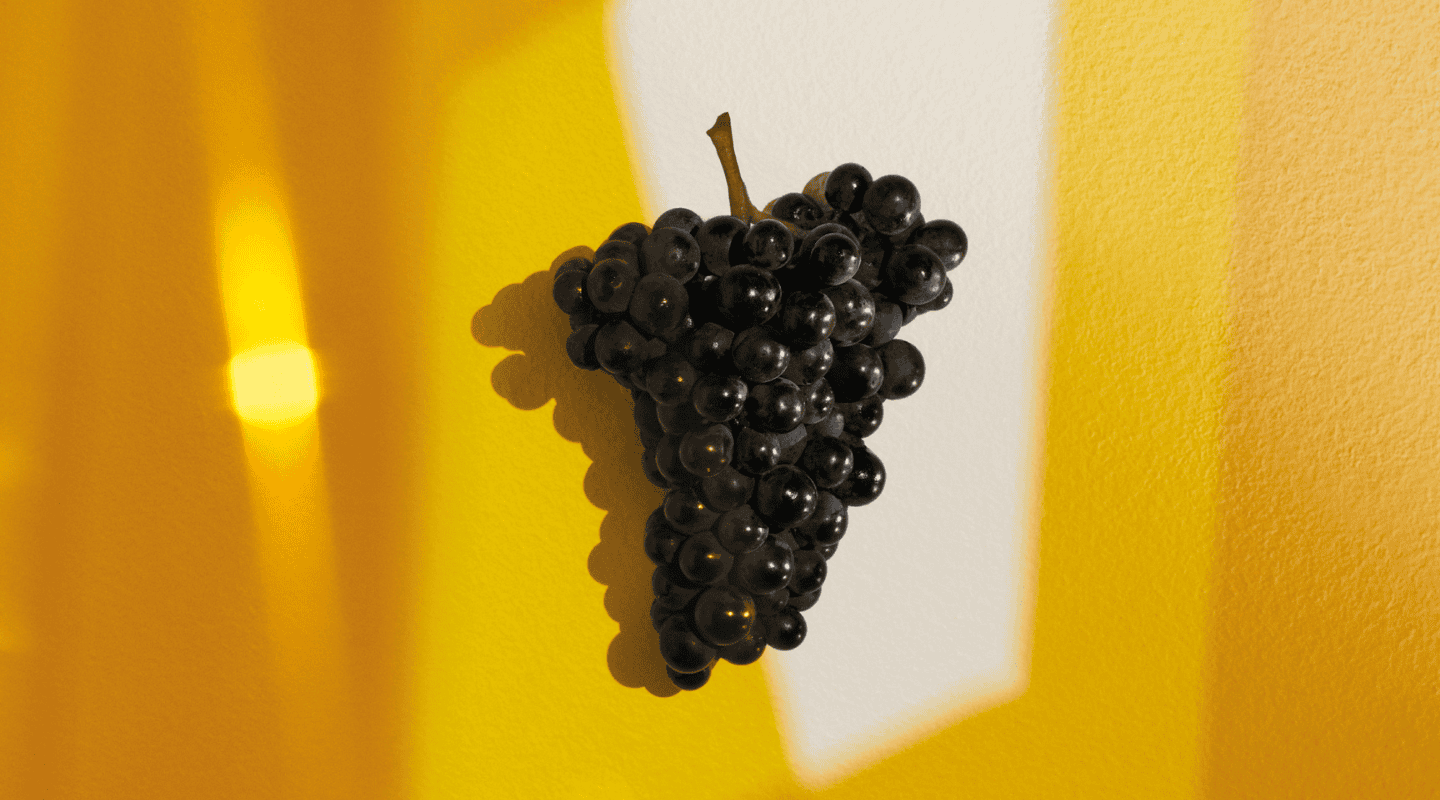L'Art du Pinot Noir