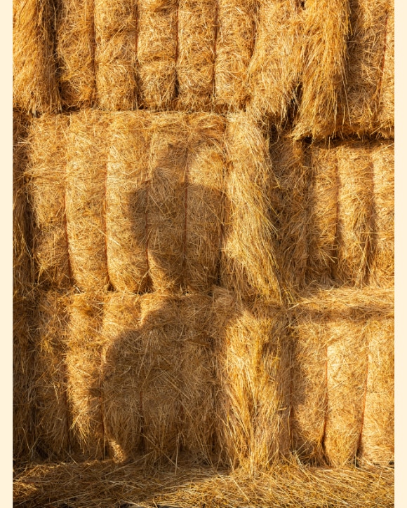 Olivia Arthur photo of hay bales Olivia Arthur photo of hay bales