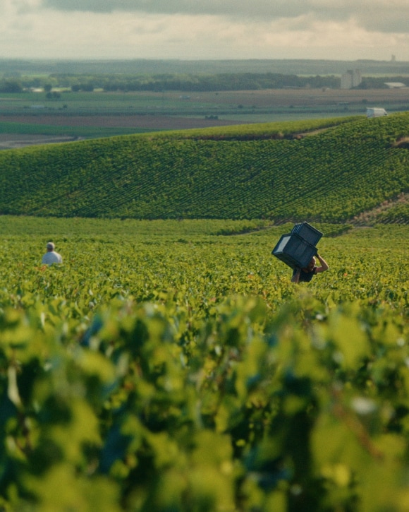 Image without a name