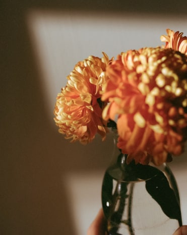 Simon Schmidt's photo of La Grande Dame 2015