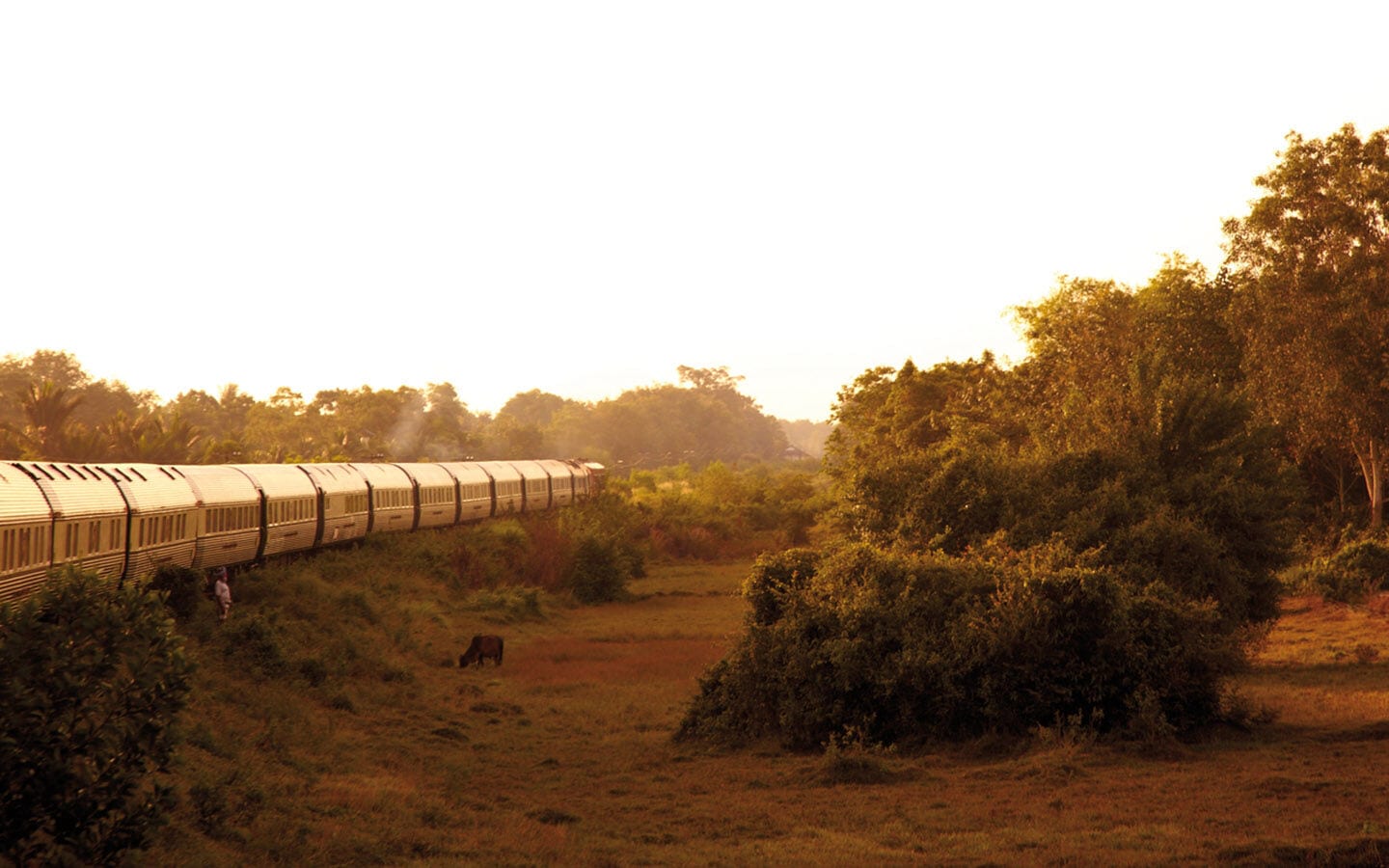 Image without a name