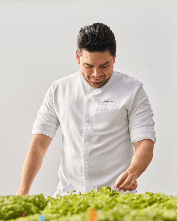 Veuve Clicquot Garden Gastronomy Luke Selby