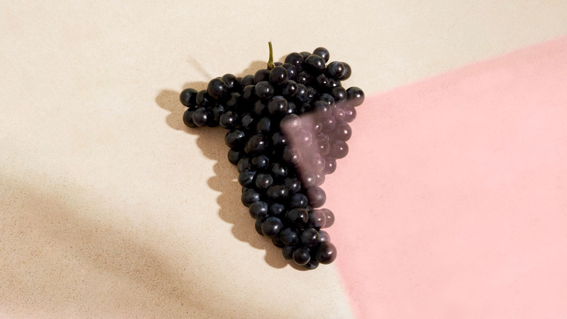 Grappe de Pinot Noir Veuve Clicquot