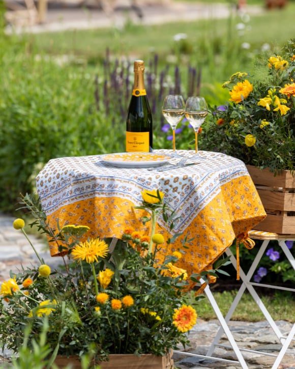 Picnic Program France 