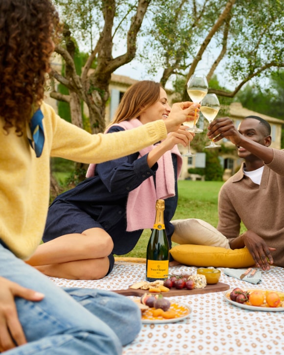 Veuve Clicquot Picnic 