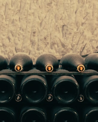 Veuve Clicquot champagne bottles aging in the factory cellar, including magnum sizes