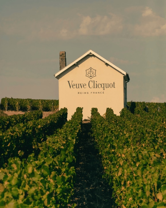  Veuve Clicquot vineyard