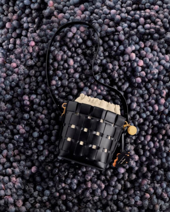 Stella McCartney and Veuve Clicquot Collaboration