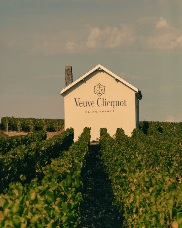 Veuve Clicquot Vineyard in Reims