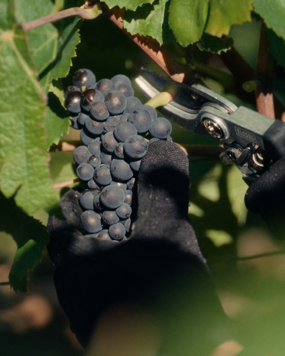 Image without a name