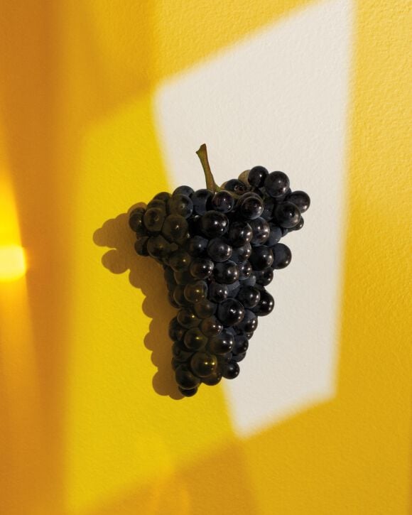 Veuve Clicquot grapes 
