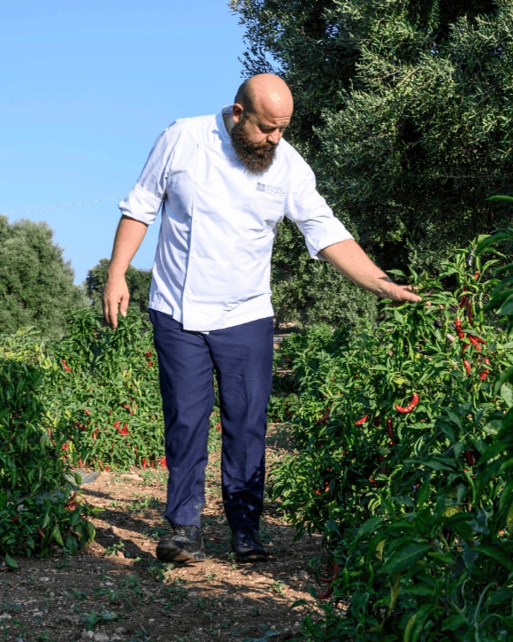 Domingo Schingaro in his garden Domingo Schingaro in his garden