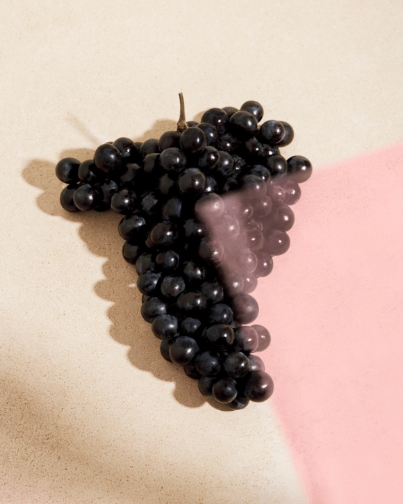 Grape of Pinot Noir from Veuve Clicquot