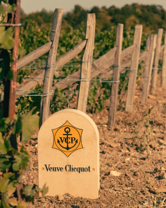 Image without a name