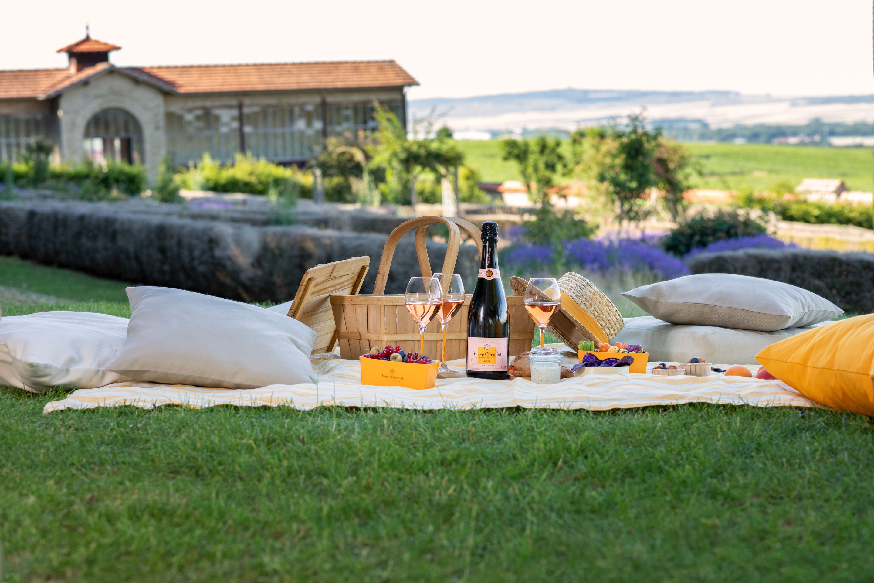 Tour & Tasting Veuve Clicquot Picnic