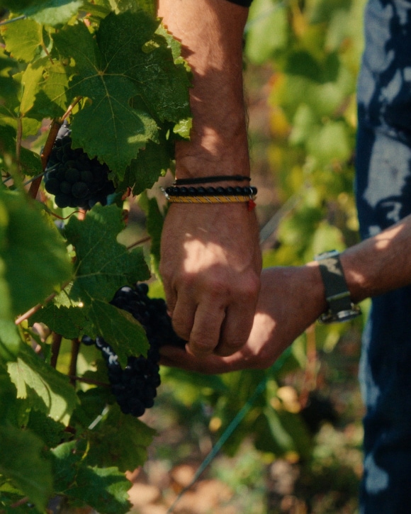 Cliquot in the Making Episode 6