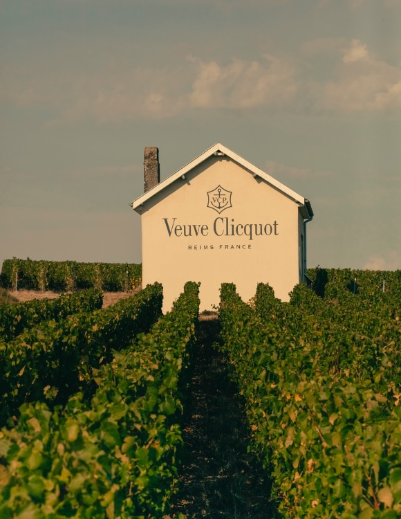 Veuve Clicquot vineyard