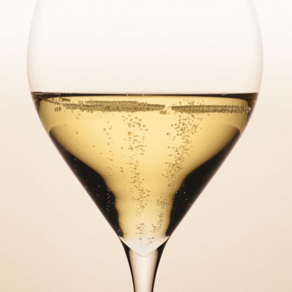 glass champagne gif glass champagne gif