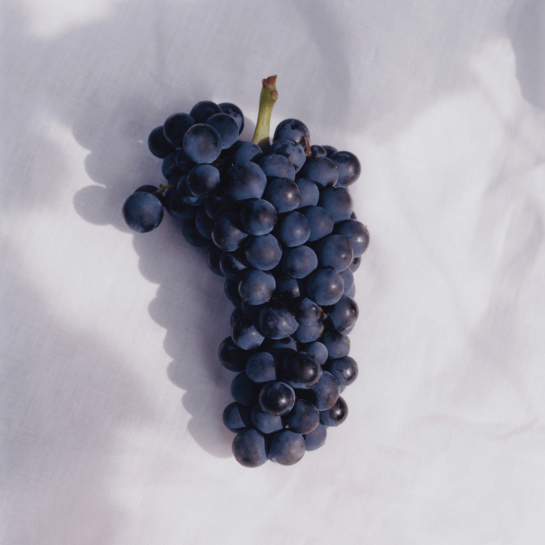 ldg garden gastronomy Pinot noir grape